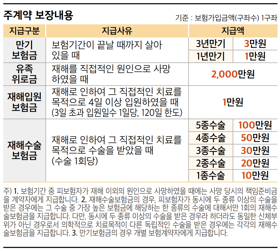 보험보장내용