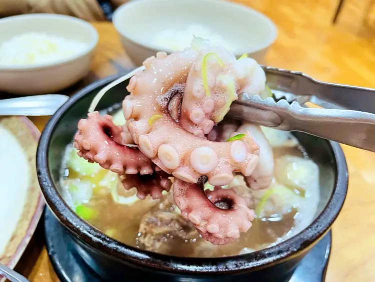 제209회 놀라운토요일 놀토 서울 목동 목사랑시장 얼큰한 낙지 연포탕 뮤지컬 스타 호이 김호영 스우파 라치카 가비 추천 맛집 소개
