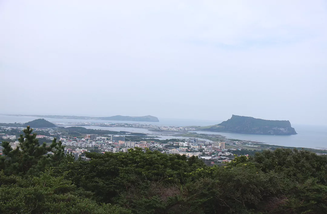 대수산봉에서 바라본 우도와 성산일출봉 전경 사진.