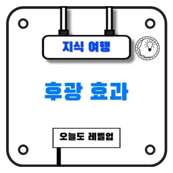 후광효과 뜻 실제 사례 유래 반대 개념 비판 시각_26