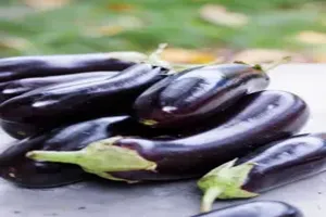 가지