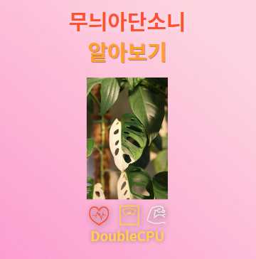 무늬아단소니 꽃말 및 탐구