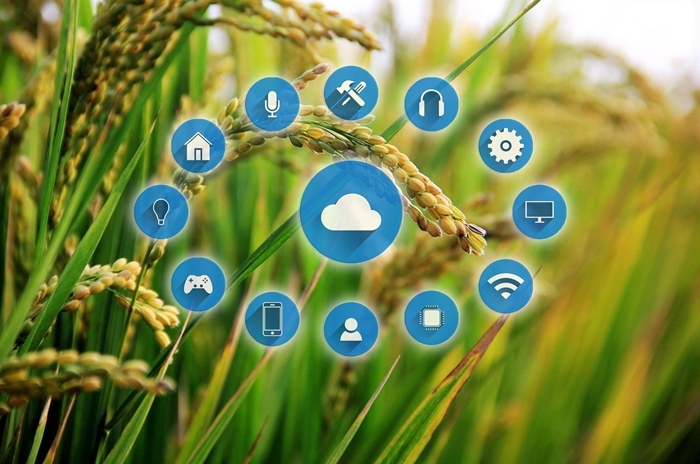 스마트 농업 이미지