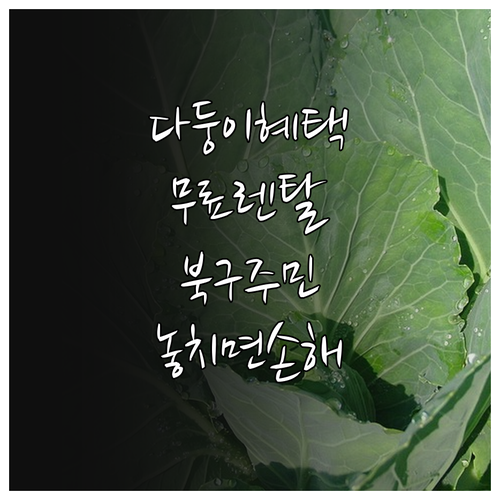 놓치면 손해! 2025 대구 북구 다..