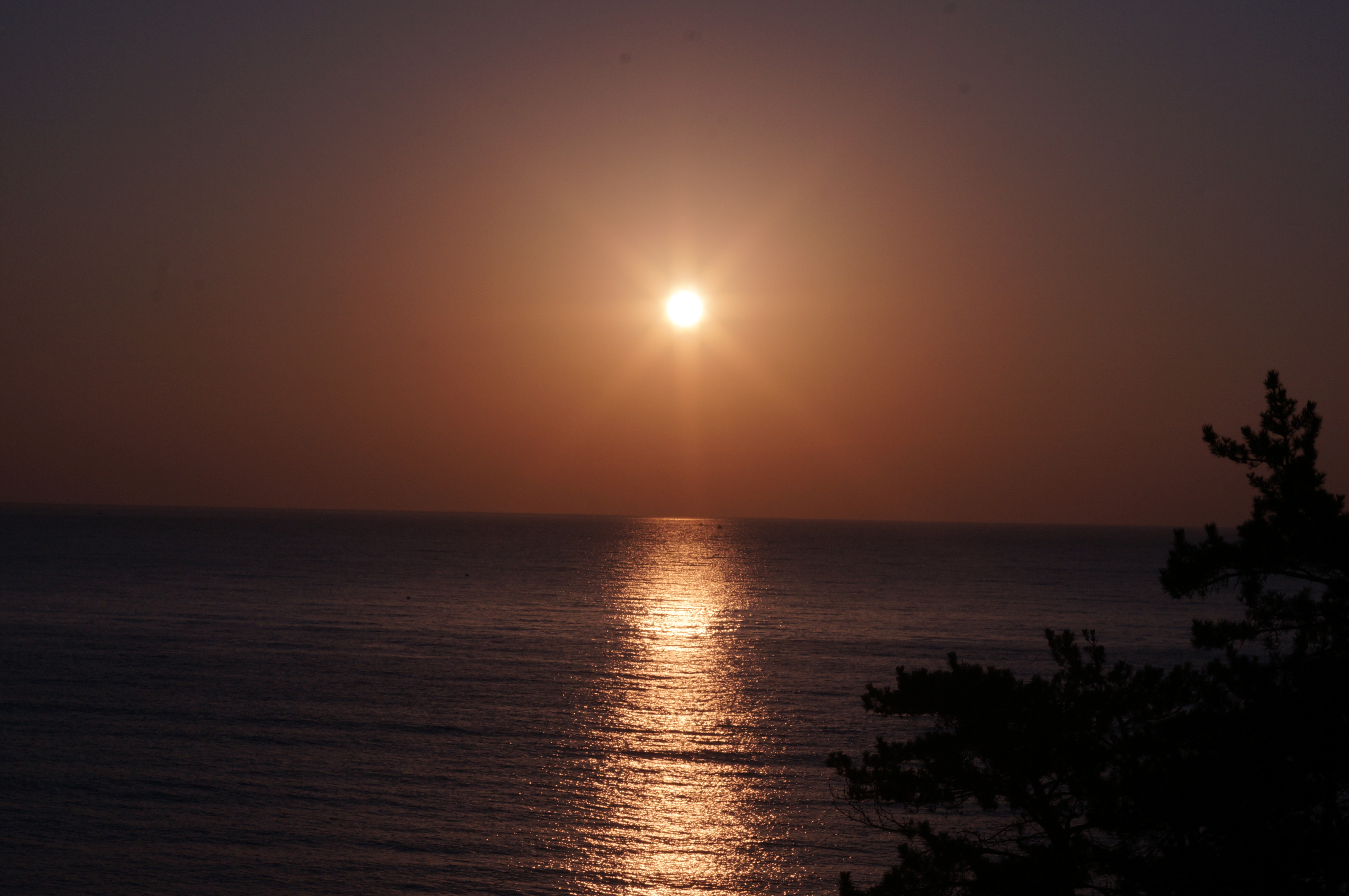 토지투자에서 농지전용과 개발제한구역, 초보 투자자가 헷갈리는 포인트