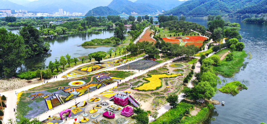 2024 가평 자라섬 꽃 페스타: 북한강 가을 꽃축제, 프로그램, 주차팁