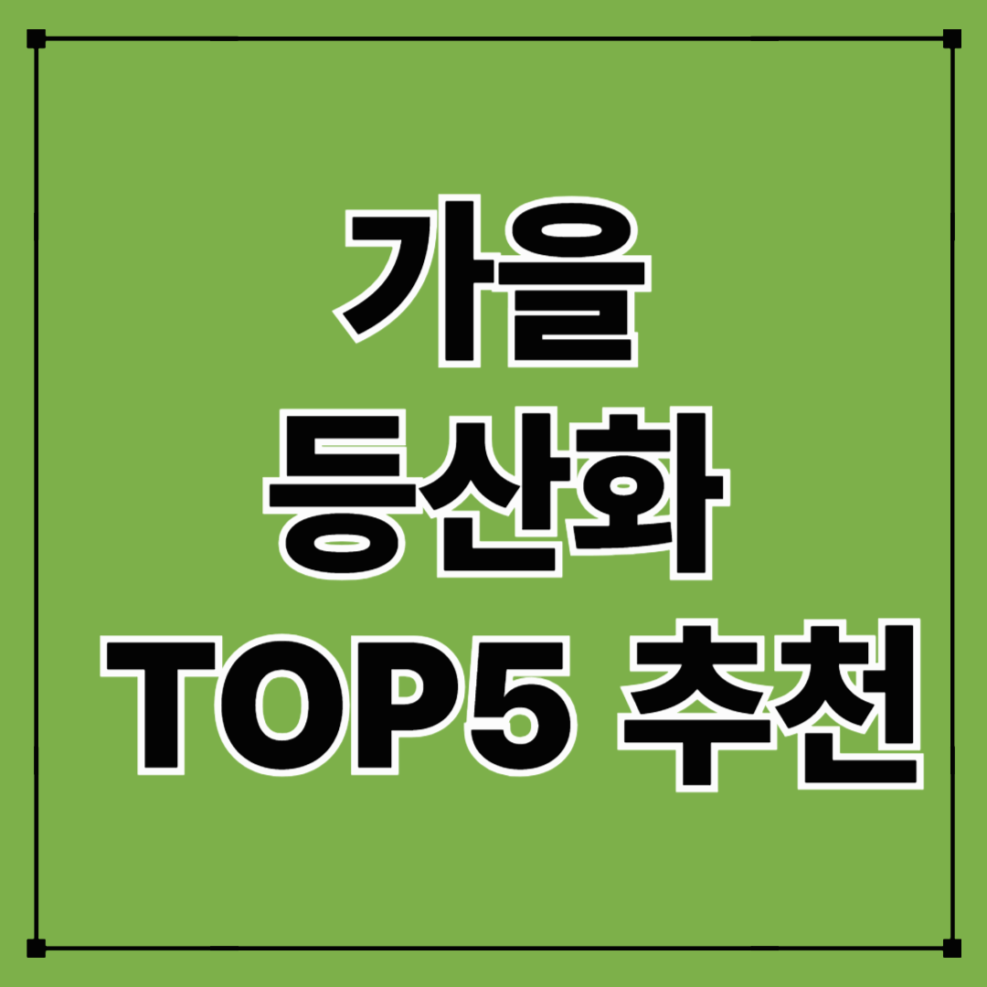 가을 등산화 추천 TOP5