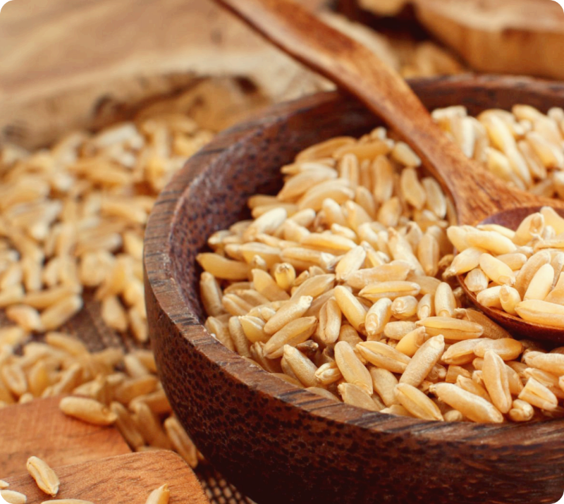 alt=&quot;카무트 담겨져 있는 그릇 사진&quot;