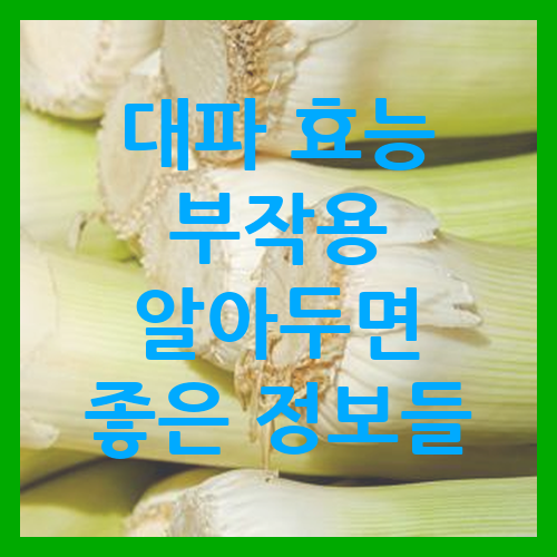 대파의 효능과 부작용