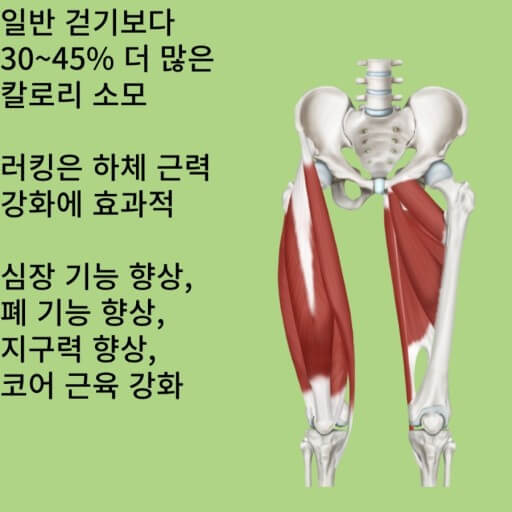 러킹의 운동 효과