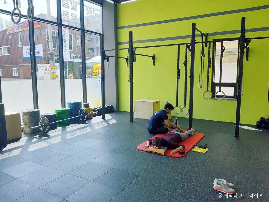 표박사크로스핏