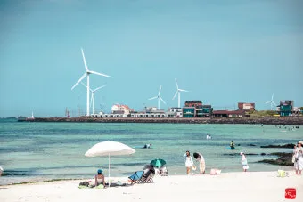 제주 월정리 카페 추천 감성 인테리어와 베이커리 소개_17