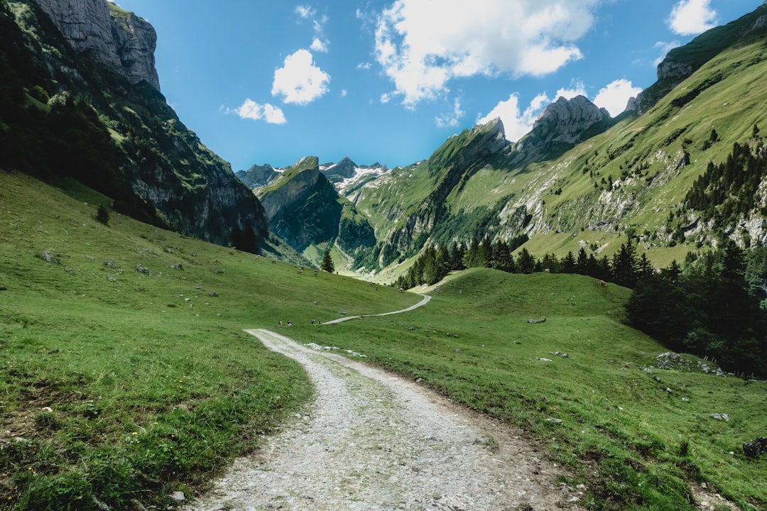 Alps