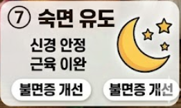 양파 효능