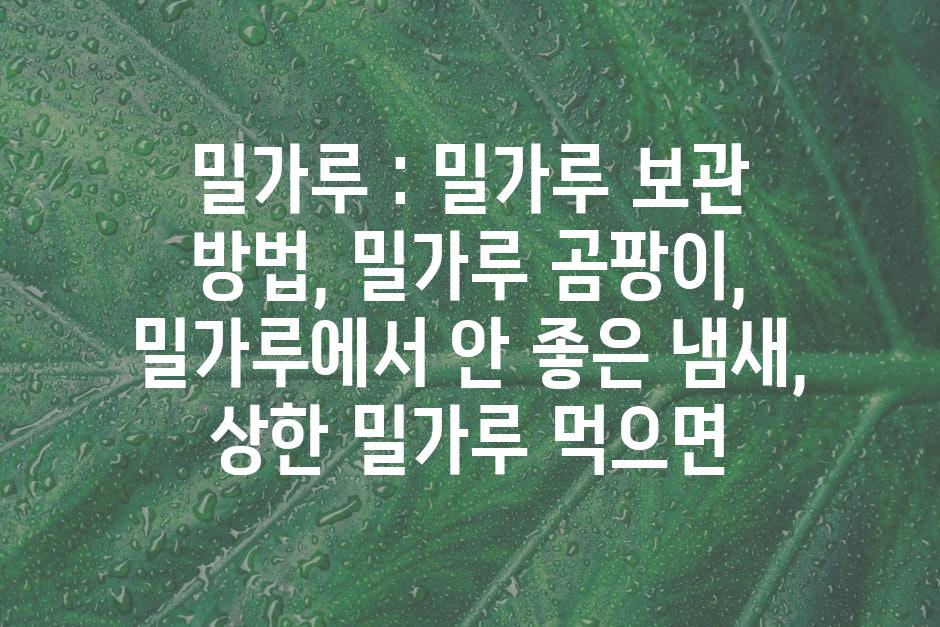 샘플 (44)