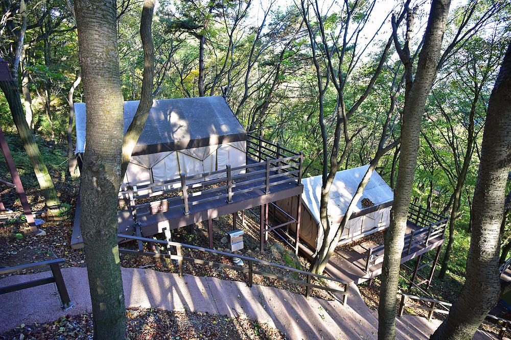 경남 신어산자연숲캠핑장