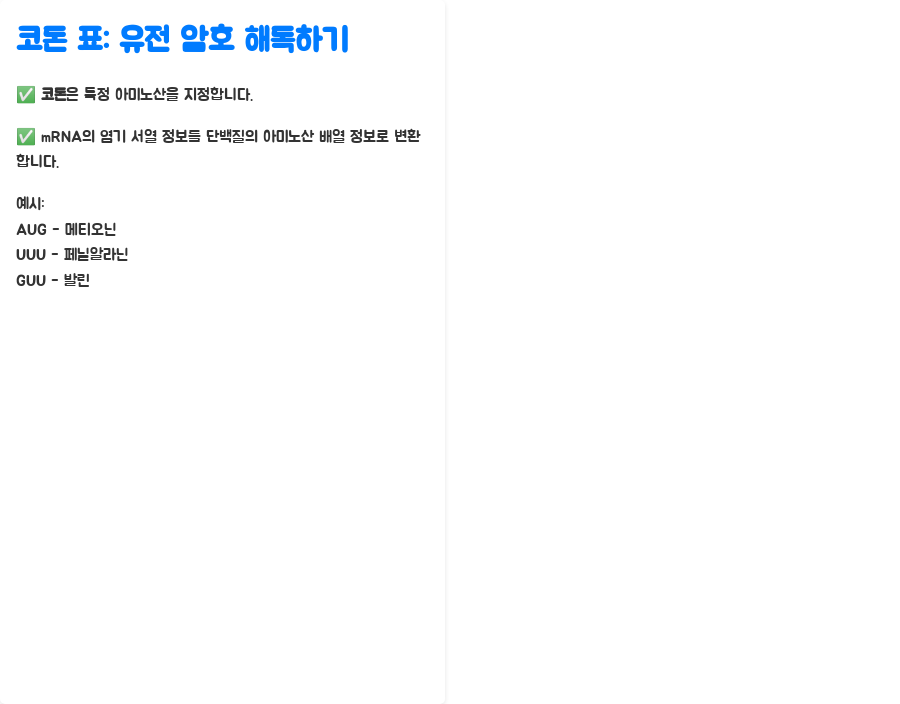 분자생물학 번역 메커니즘: 단백질 합성의 비밀, 밝혀보세요! - 코돈 표: 유전 암호 해독하기 분자생물학 번역 메커니즘: 단백질 합성의 비밀, 밝혀보세요! - 코돈 표: 유전 암호 해독하기