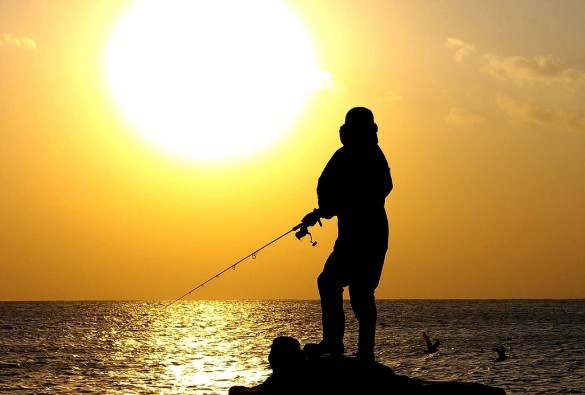 동해안, 서해안, 남해안 바다낚시 어종 완벽 가이드 - 1월 2월 3월 4월 5월 6월 7월 8월 9월 10월 11월 12월