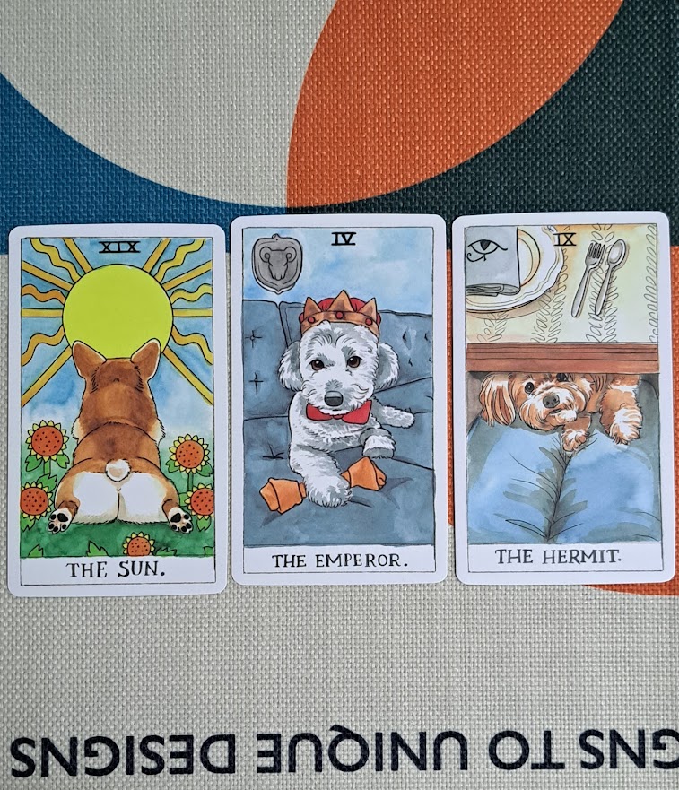 도그 타로 최애 사진들