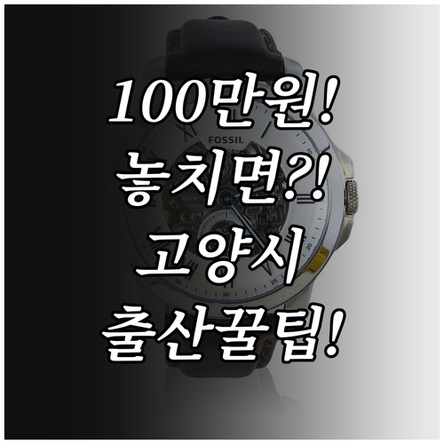 2025 고양시 장애인가정 출산지원금..