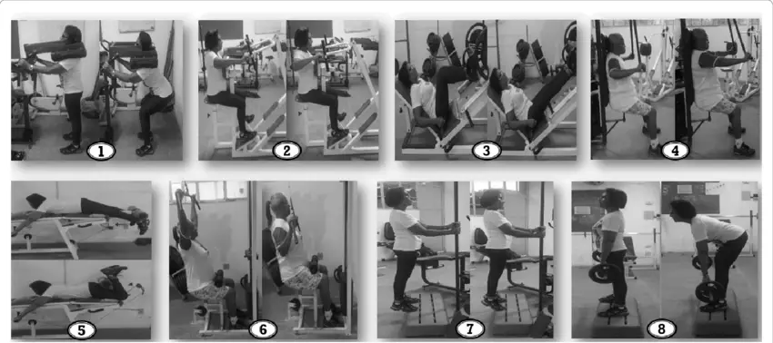 노인 운동의 혁신! 단 4주 만에 체력 52% 향상시키는 다성분 운동 프로그램의 놀라운 효과