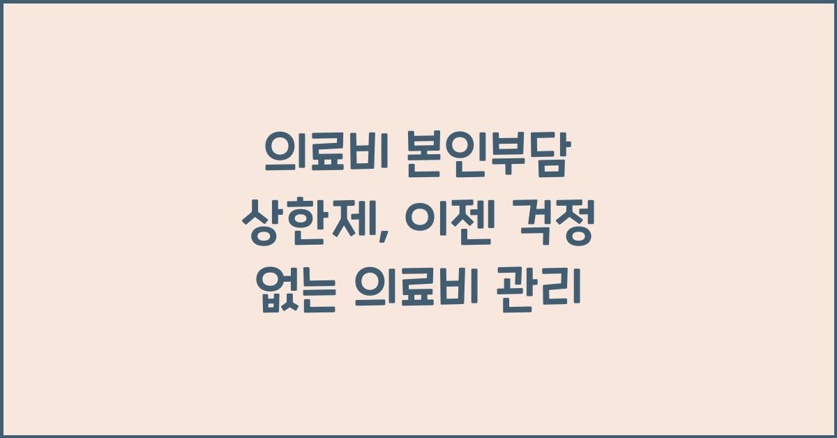 의료비 본인부담 상한제