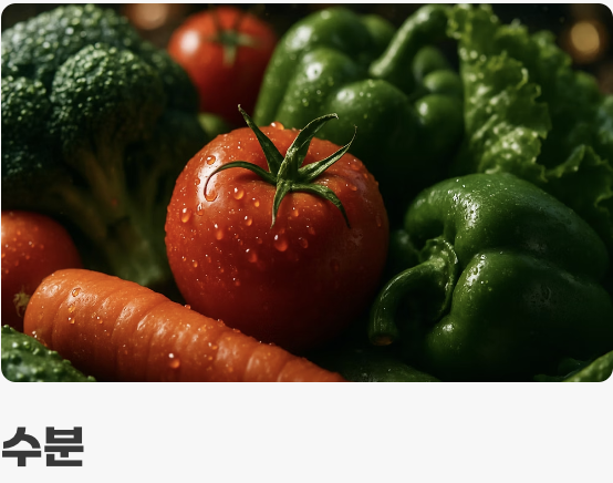 3. 채식과 육식을 겸비한 식단 (먹이)