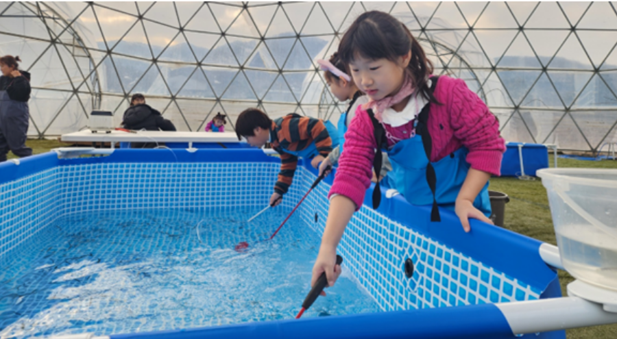 양평_빙송어축제_돔빙어패키지