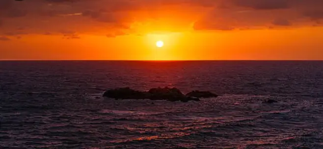 대왕고래프로젝트