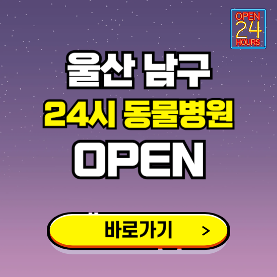 울산 남구 24시 동물병원 진료하는 곳 ❘ 설날 휴일 야간 심야 문여는곳 찾기 ❘ 응급진료