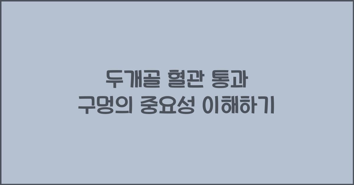 두개골 혈관 통과 구멍