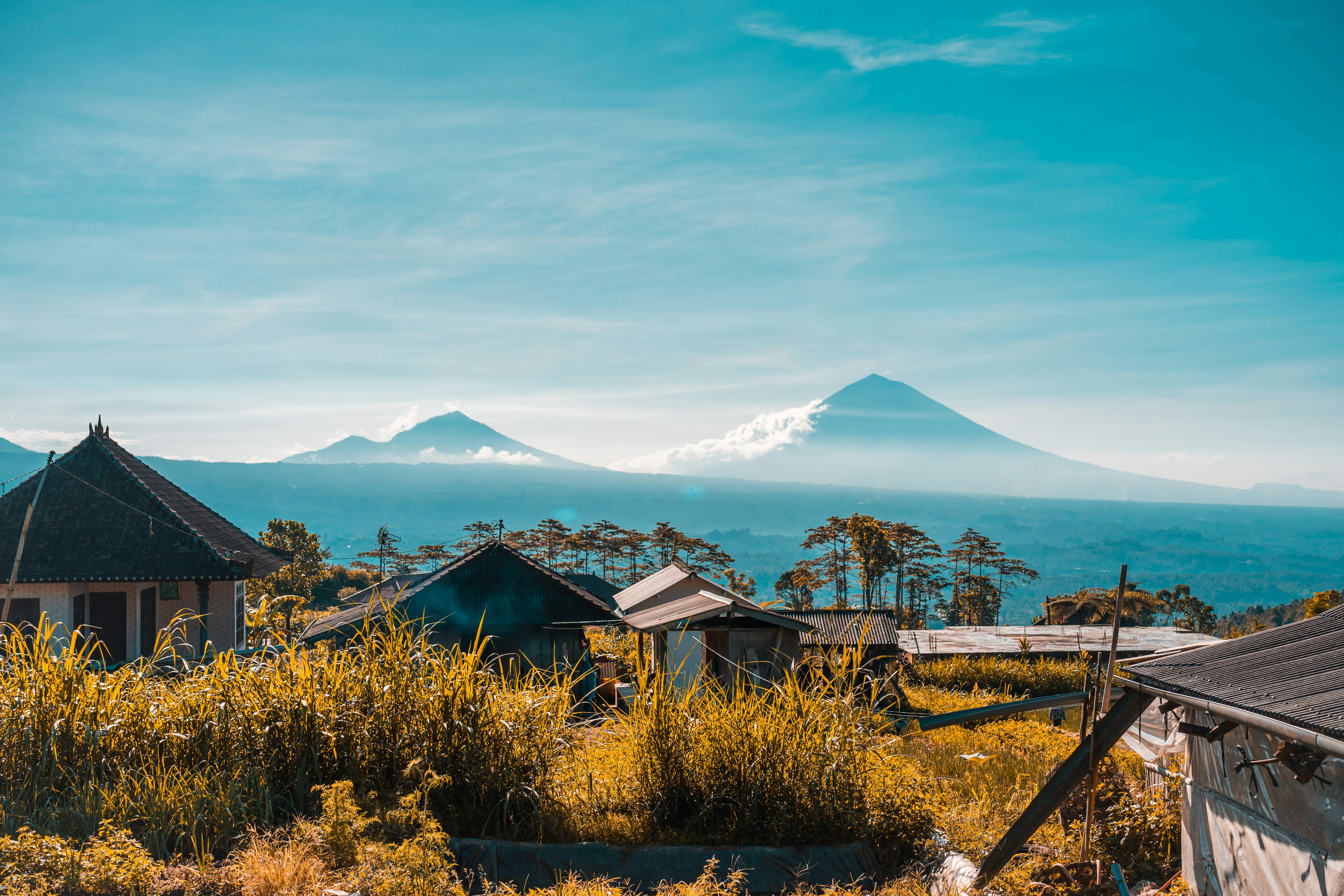 1015정책 후 청년 전세대출 변화