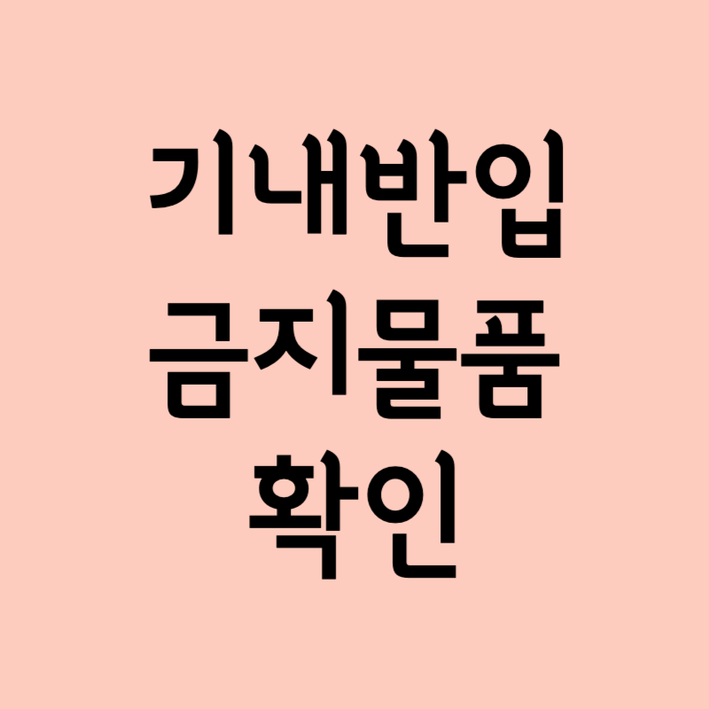 기내반입 금지물품