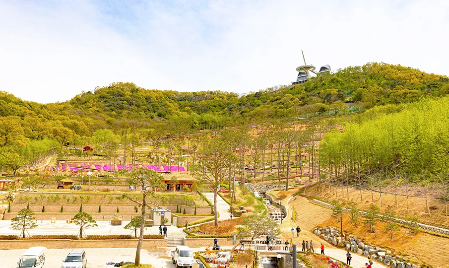 교동 화개정원, 2023 DMG 평화i랜드 뮤직페스티벌