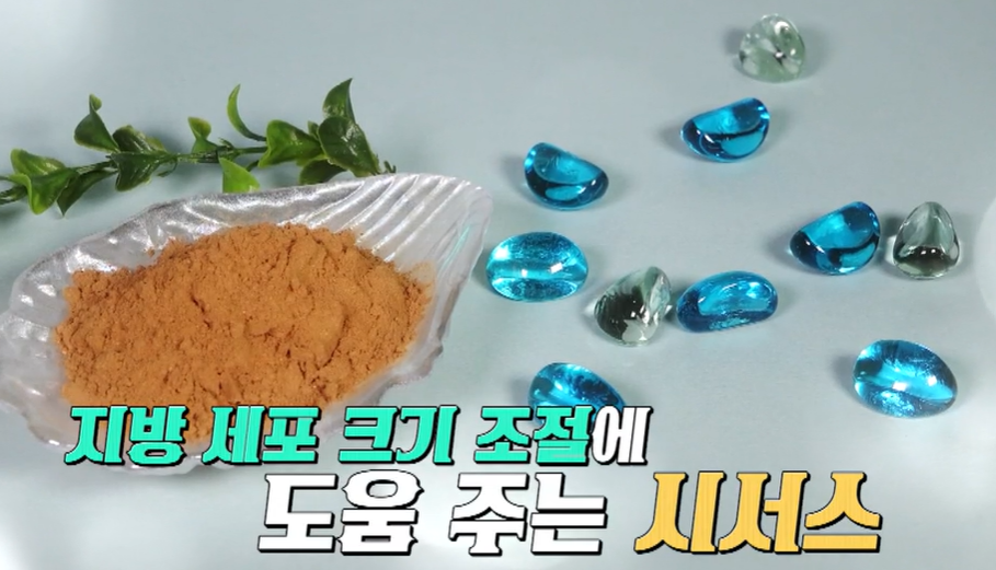 시서스 효능 