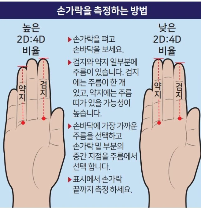 손가락 검지와 약지의 비율 관련 이미지
