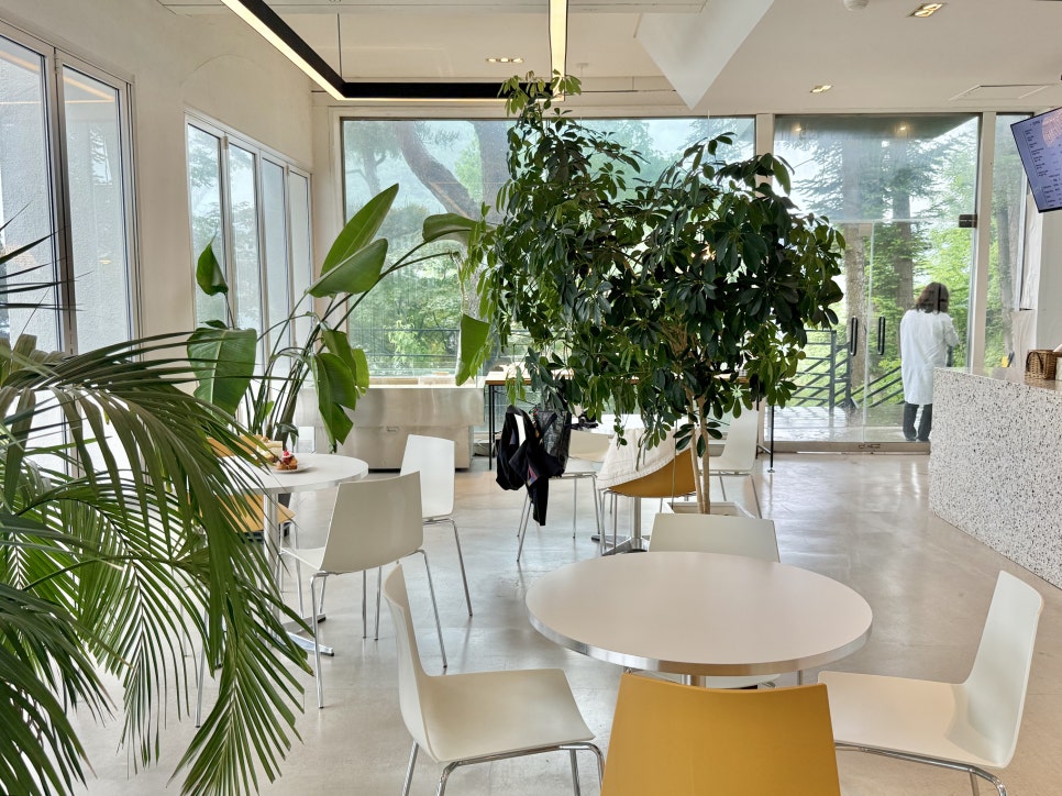 가평 베이커리 카페 아우라