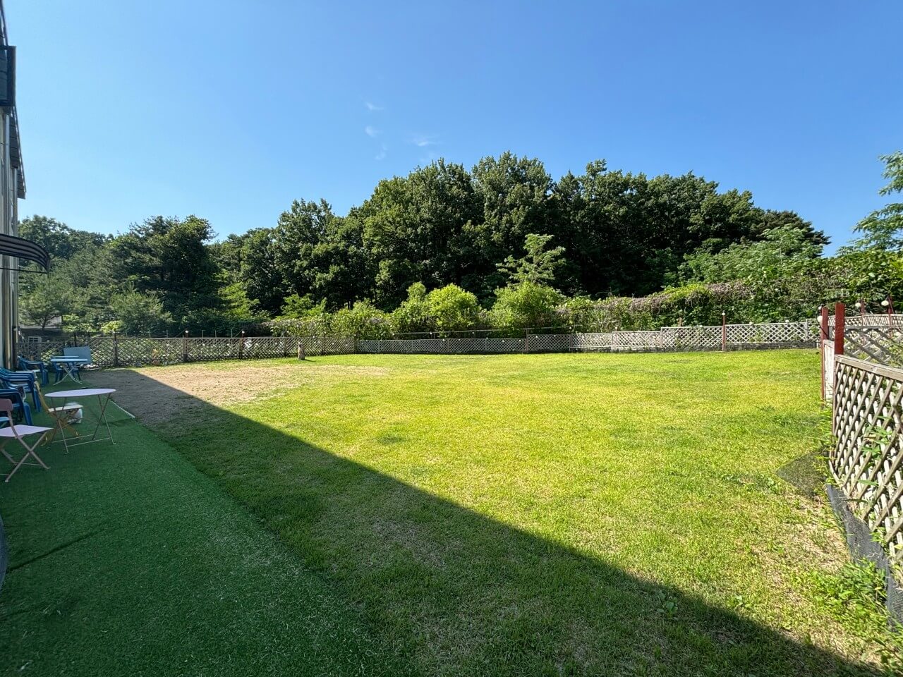 생방송투데이 오늘도 달린다! 청년 사장 경기 포천 20대 애견 카페 사장 편 뽀야네 딩가댕가 생방송투데이 3779회