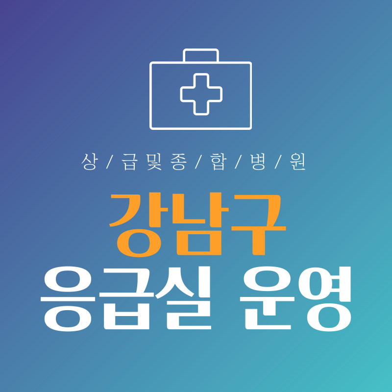 서울 강남구 응급실 운영