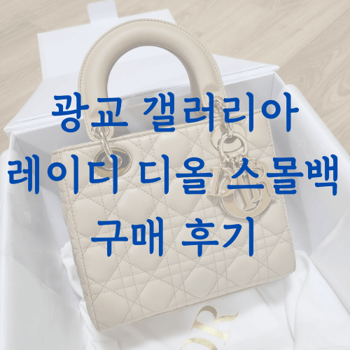 레이디디올