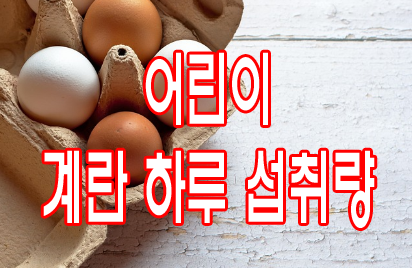 어린이 계란 하루 섭취량