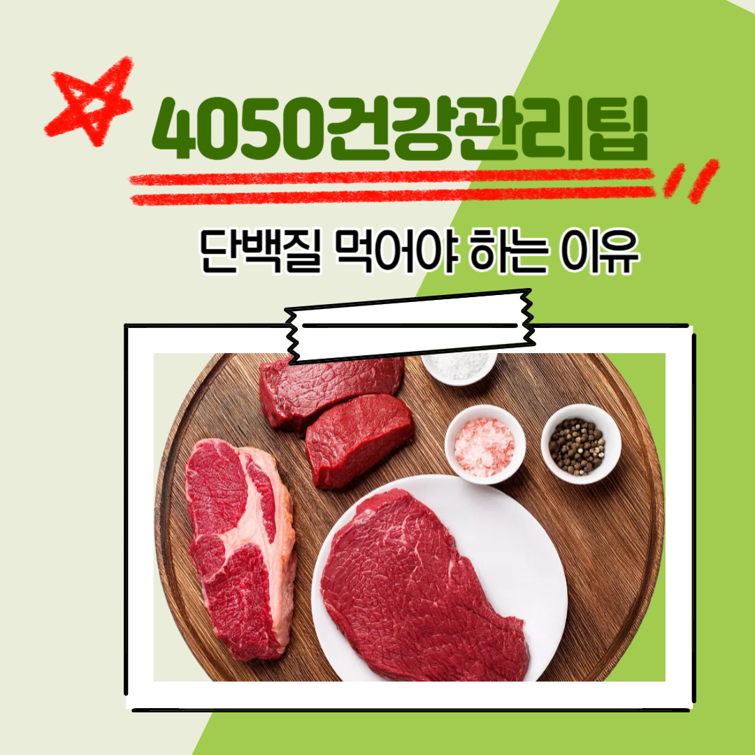 단백질
