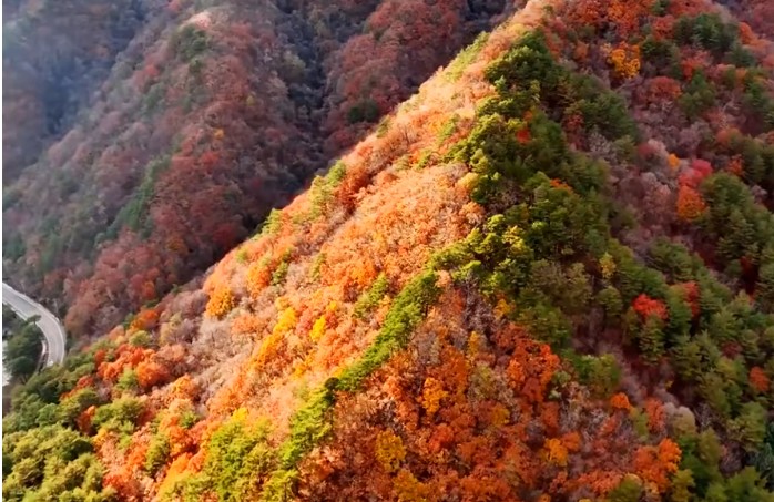 전국의 단풍여행 명소 맛집 숙박시설소개
