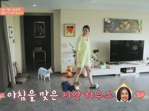 이지안 집