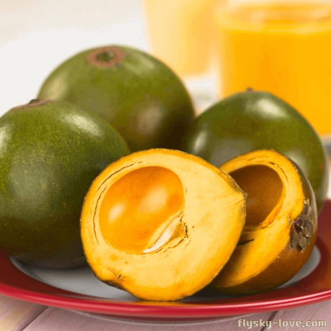 아열대 과일 루쿠마