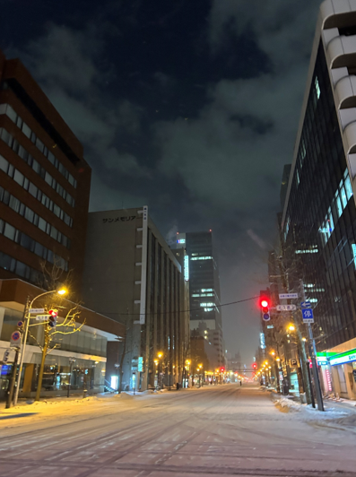 연말 삿포로 시내