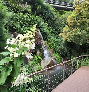 경기 광주 화담 숲