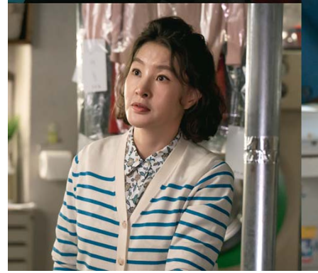 다리미 패밀리 등장인물