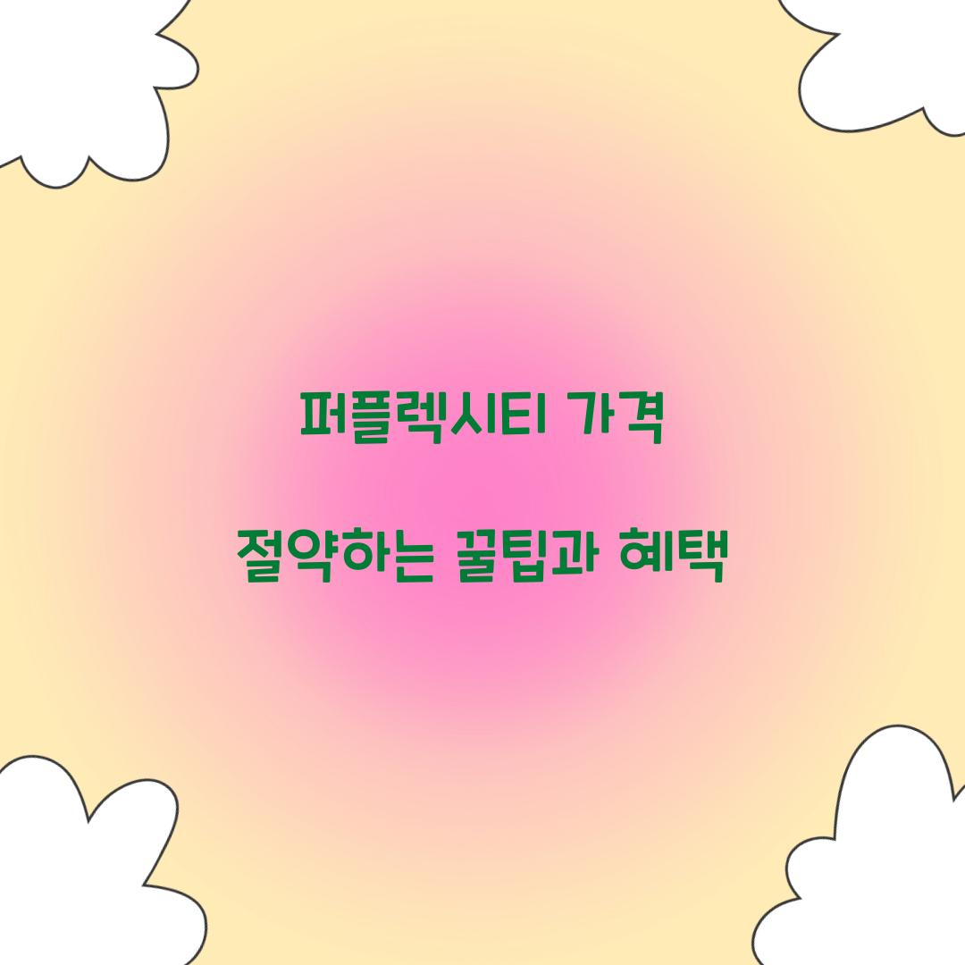 퍼플렉시티 가격