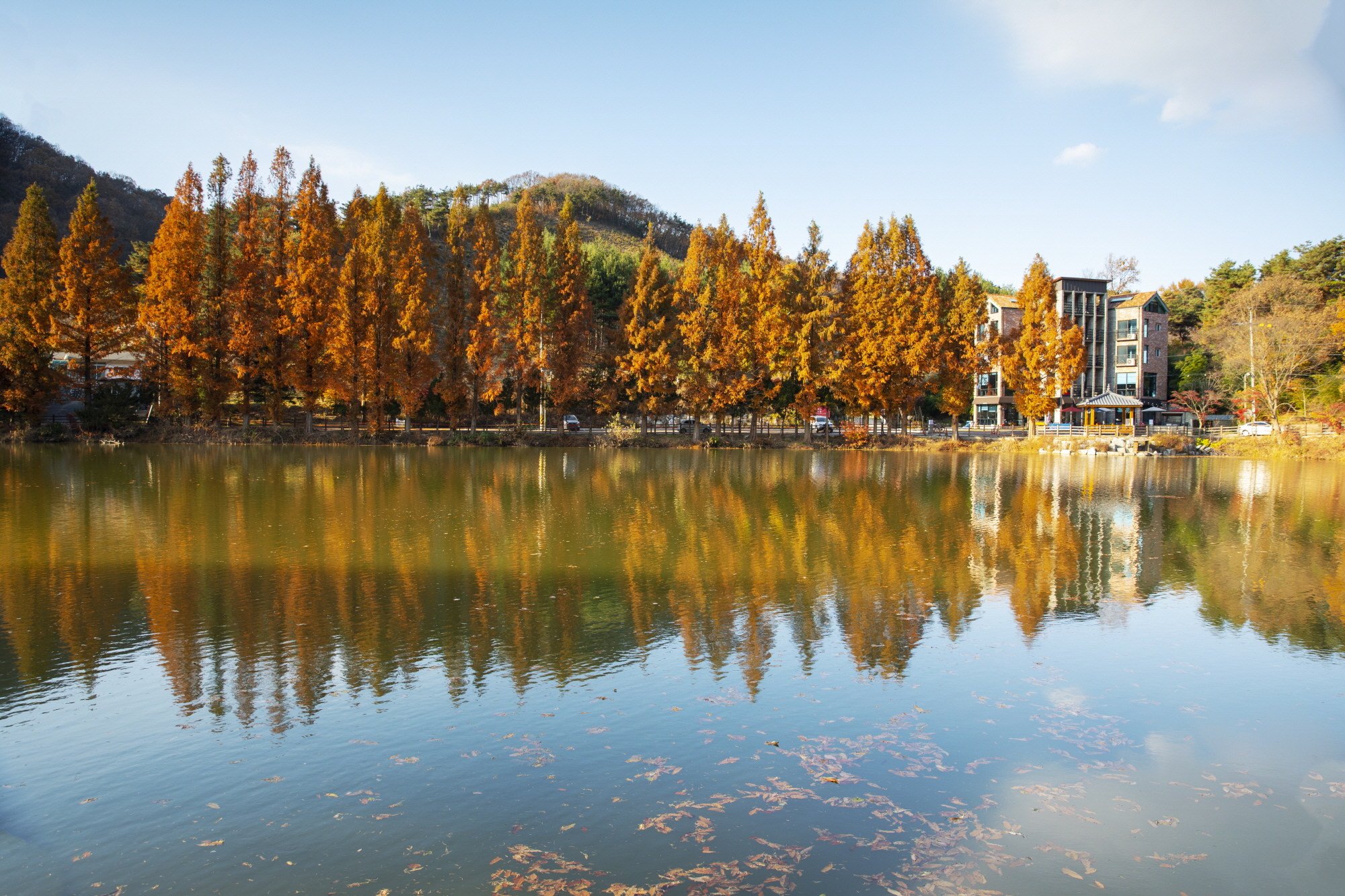 계룡 가볼만한곳 베스트 10